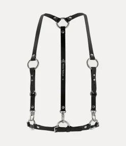Studs Belts Harness